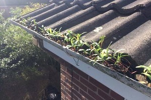 Gutter cleaning Fleetwood FY7
